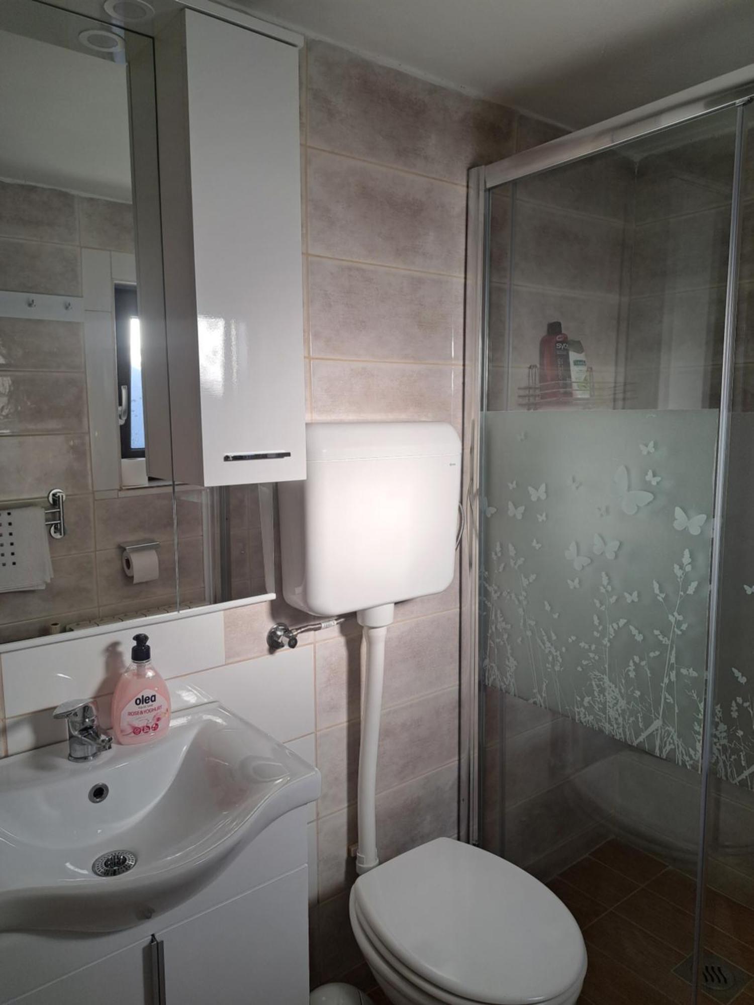 Apartman Luma Gospić エクステリア 写真